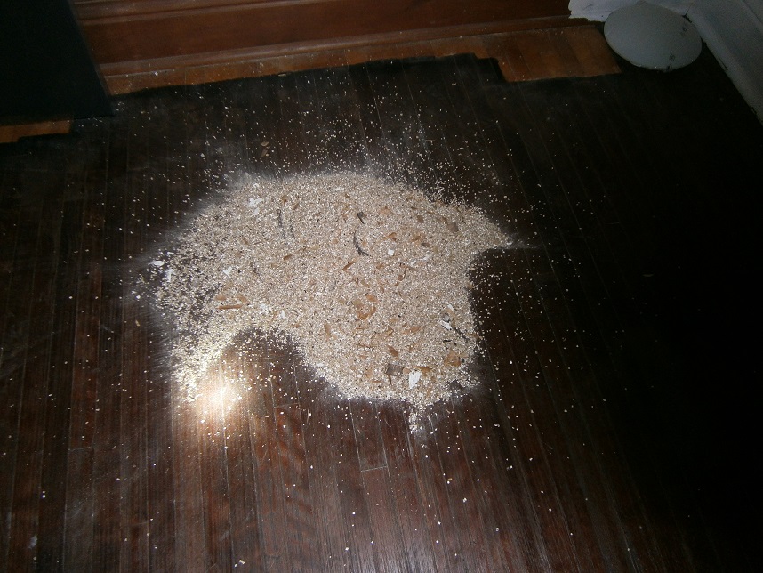 asbestos insulation abatement asbestos insulation abatement