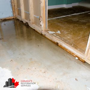 Basement Flood Cleanup Toronto