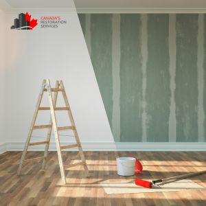 Mold Removal Toronto Renovations