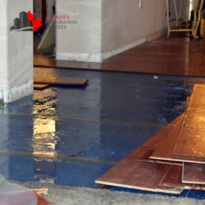 water damage toronto