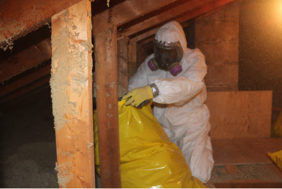 Asbestos Removal Orleans