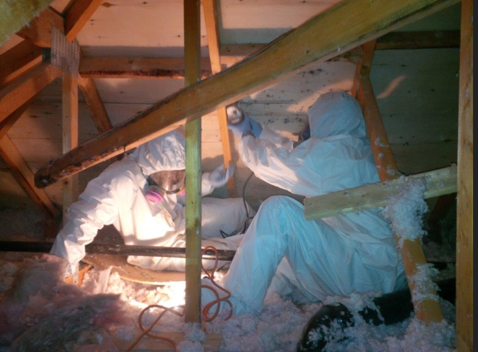 asbestos testing